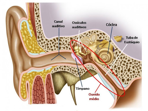 sintomas-de-disfuncao-da-tuba-auditiva