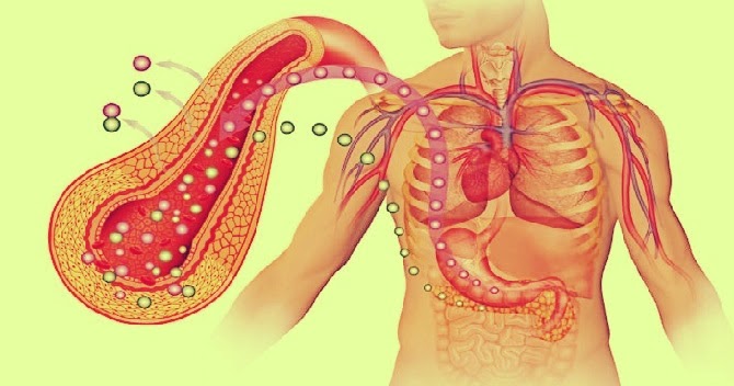 funcao-da-insulina-no-corpo-humano