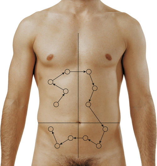 fichario-abdominal