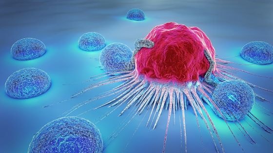 celulas-cancerosas-vs-celulas-normais