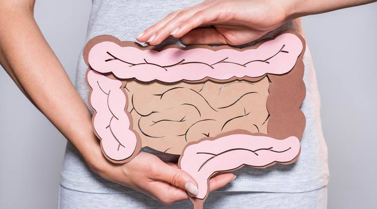 saude intestinal