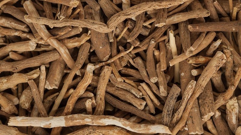 beneficios para a saude de ashwagandha