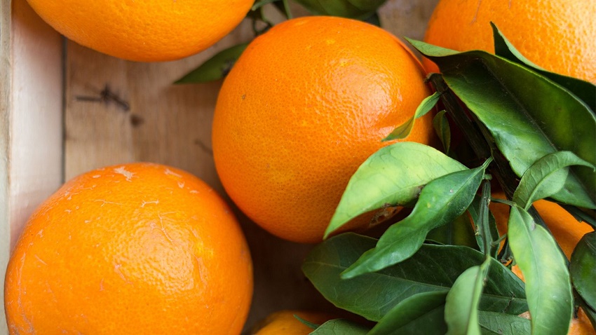 laranjas beneficios riscos