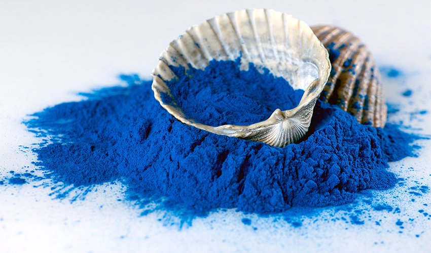 o que e espirulina azul beneficios para a saude da espirulina azul