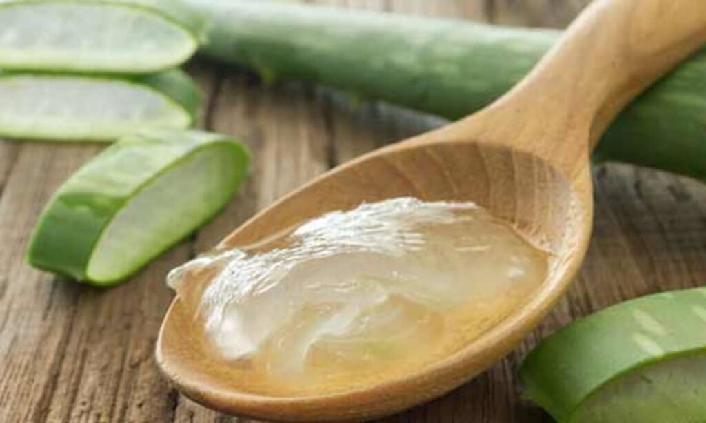 beneficios de aloe vera usa efeitos colaterais