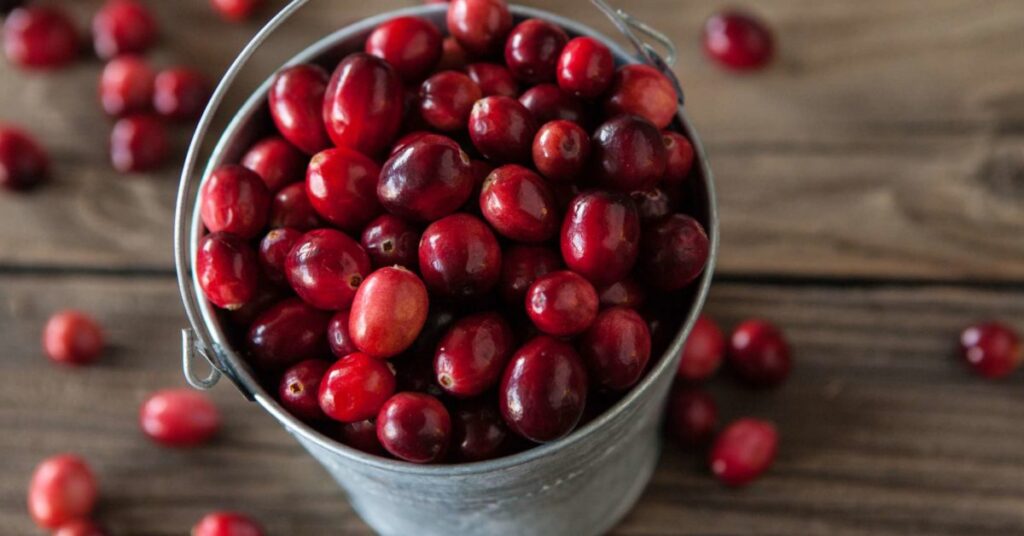 beneficios de saude do cranberry