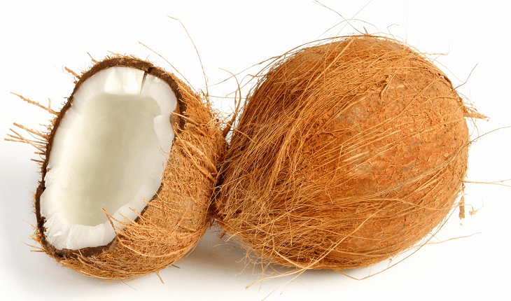 beneficios para a saude do coco usos medicinais