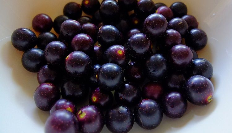 informacoes nutricionais de uvas muscadine