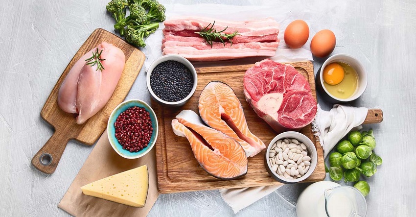 alimentos ricos em proteinas para ajuda lo a atingir seus macros