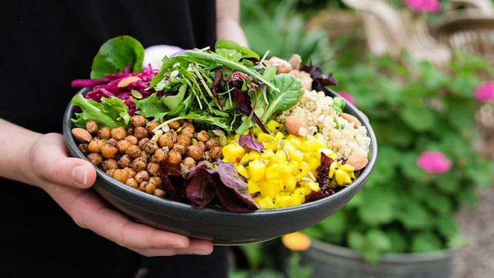 fontes de proteina a base de plantas para estocar