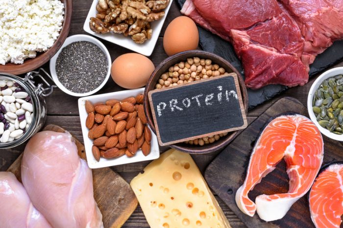 proteina vegetal vs proteina animal o que e melhor