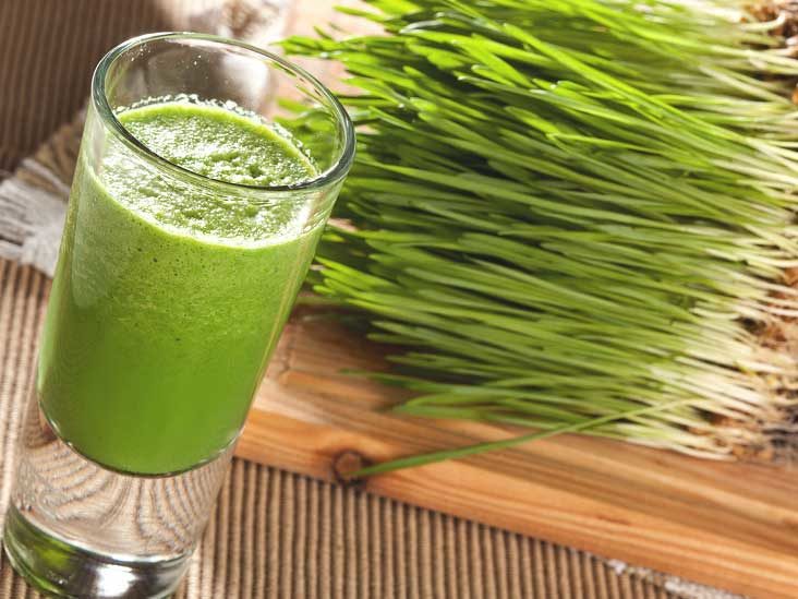 wheatgrass contraindications